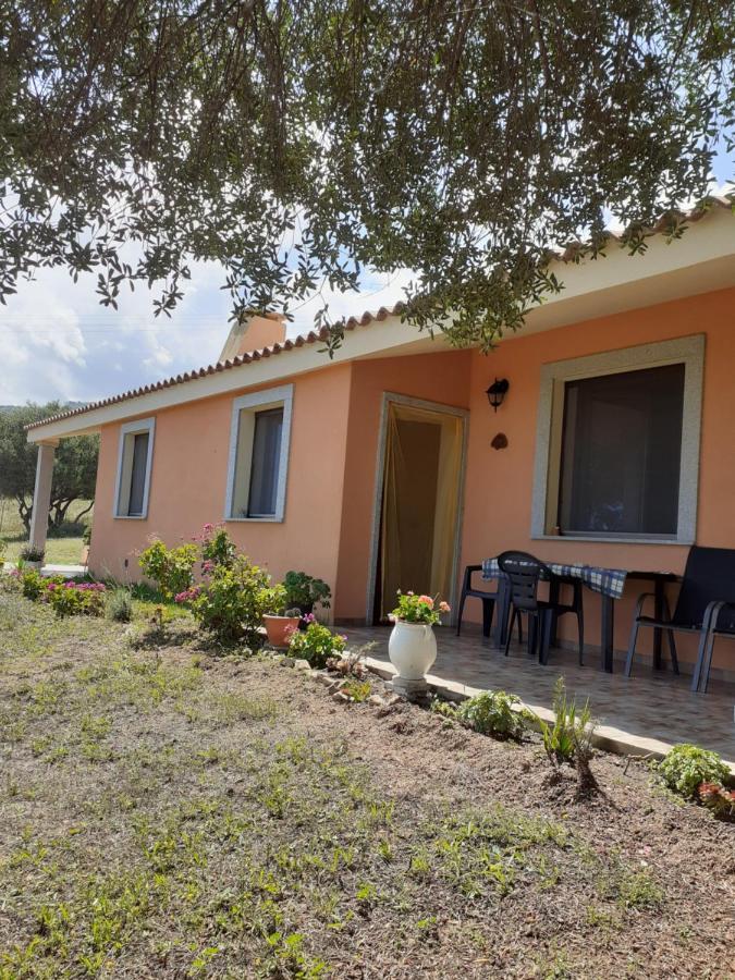 Gli Olivastri Con Piscina,Solarium, Vista Mare ,Sole -Mare E Tanta Natura ,Climatizzatore,Wifi Aglientu Ngoại thất bức ảnh
