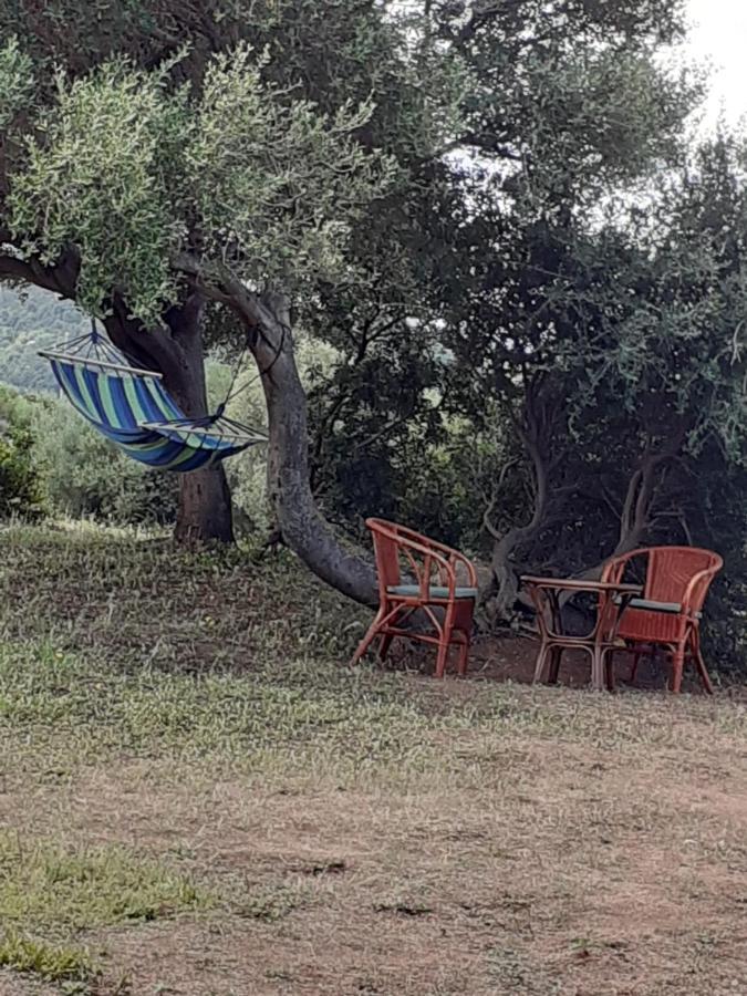 Gli Olivastri Con Piscina,Solarium, Vista Mare ,Sole -Mare E Tanta Natura ,Climatizzatore,Wifi Aglientu Ngoại thất bức ảnh