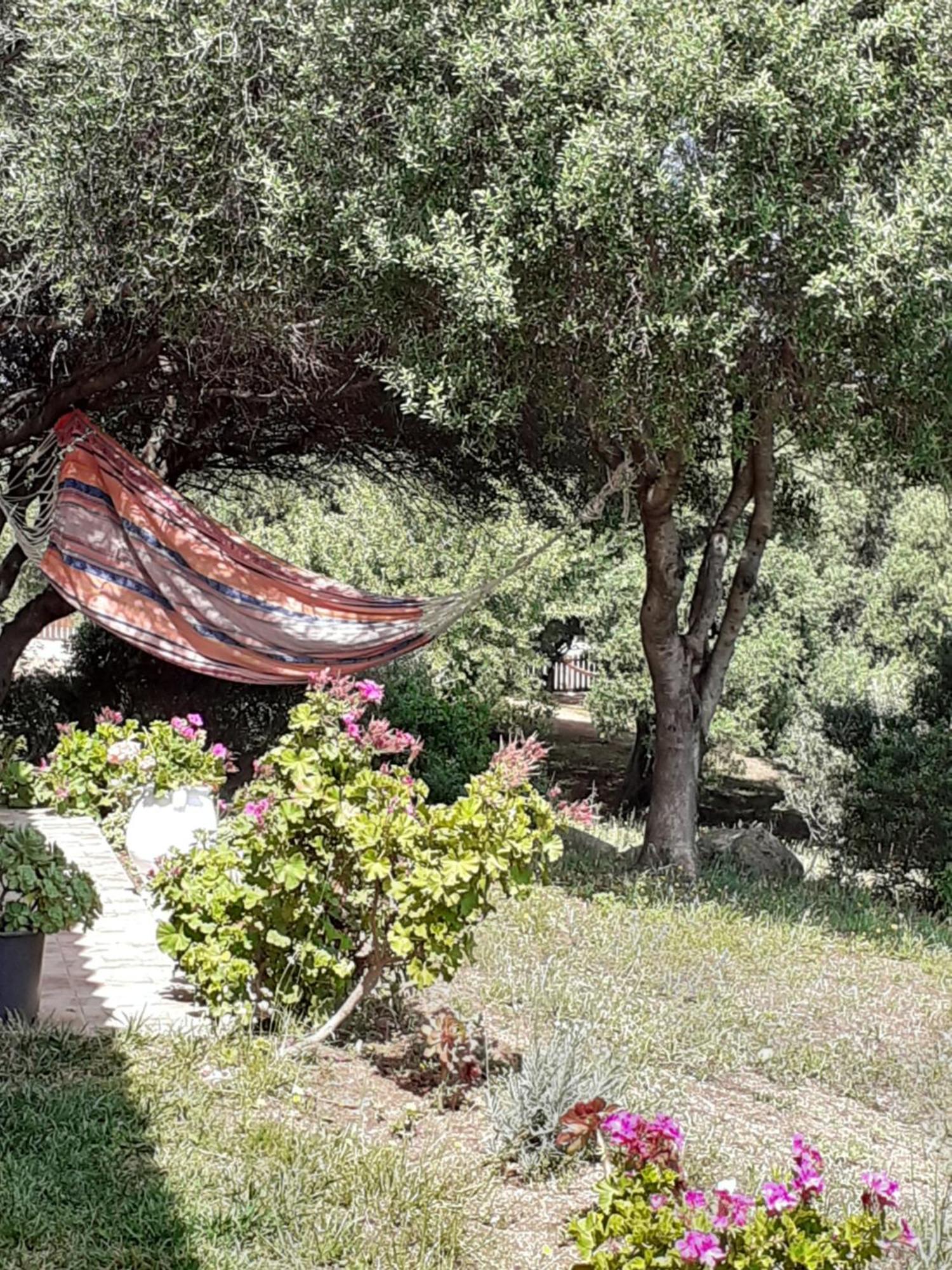 Gli Olivastri Con Piscina,Solarium, Vista Mare ,Sole -Mare E Tanta Natura ,Climatizzatore,Wifi Aglientu Ngoại thất bức ảnh