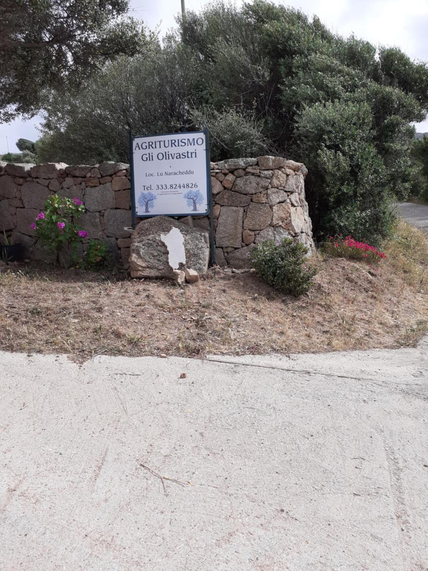 Gli Olivastri Con Piscina,Solarium, Vista Mare ,Sole -Mare E Tanta Natura ,Climatizzatore,Wifi Aglientu Ngoại thất bức ảnh