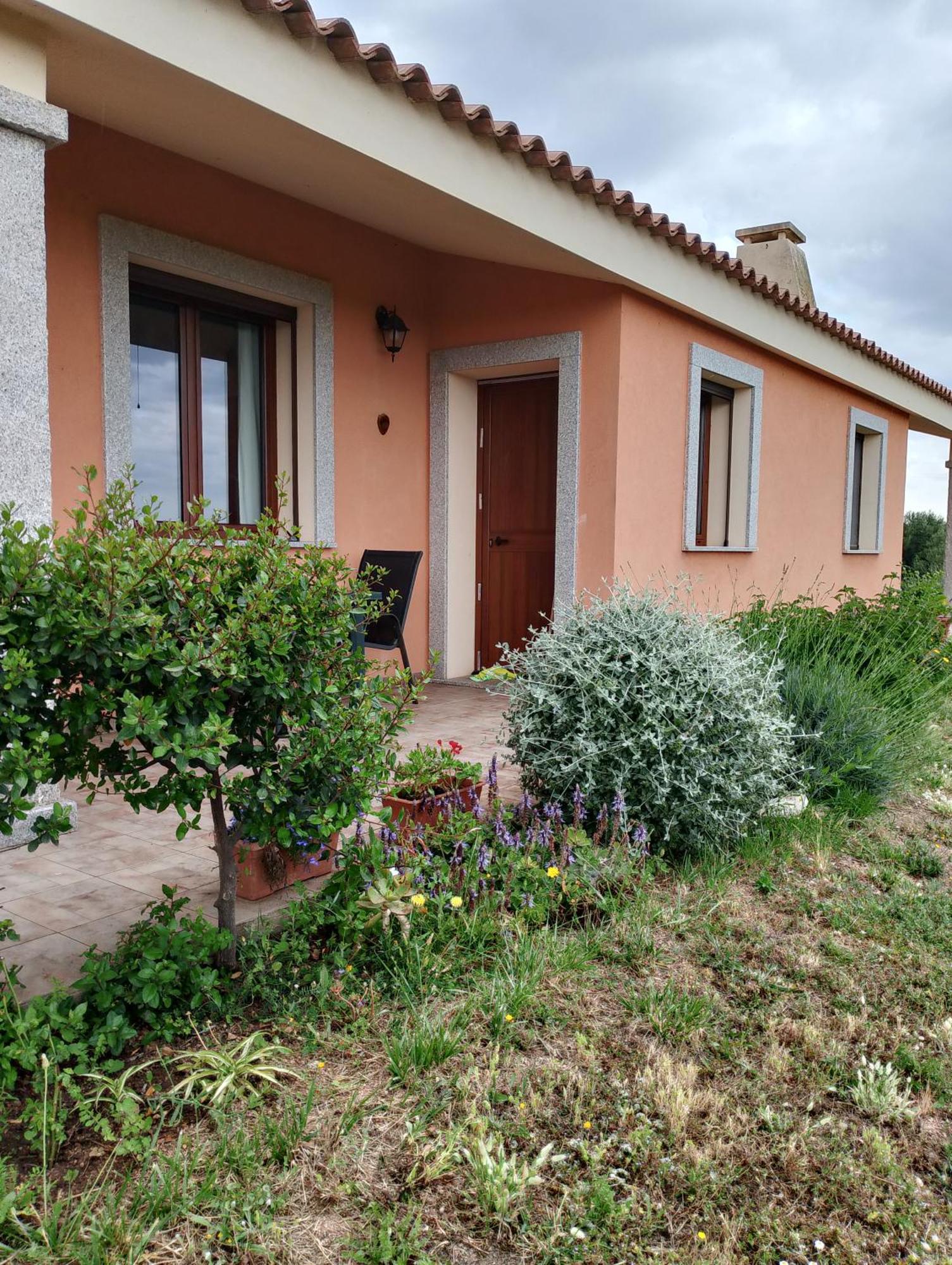 Gli Olivastri Con Piscina,Solarium, Vista Mare ,Sole -Mare E Tanta Natura ,Climatizzatore,Wifi Aglientu Ngoại thất bức ảnh