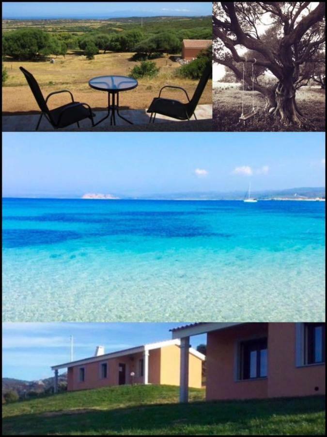 Gli Olivastri Con Piscina,Solarium, Vista Mare ,Sole -Mare E Tanta Natura ,Climatizzatore,Wifi Aglientu Ngoại thất bức ảnh